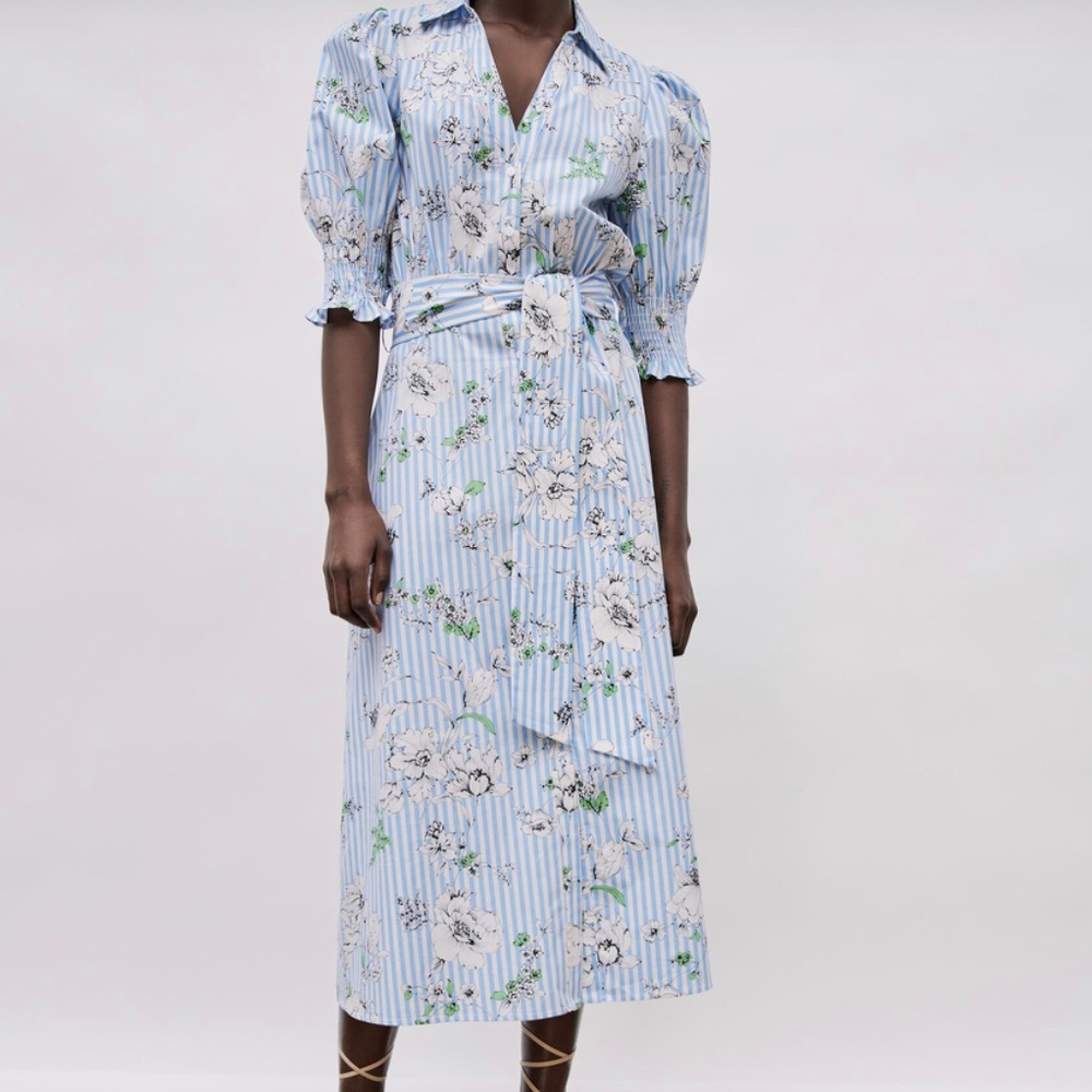 Zara Blue & White Striped Floral Midi Shirt Dress
